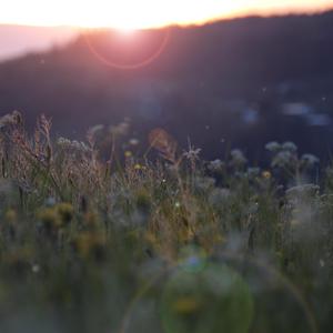 国产成人网站精品APP
